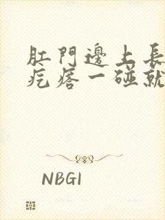 肛门边上长了个疙瘩一碰就疼