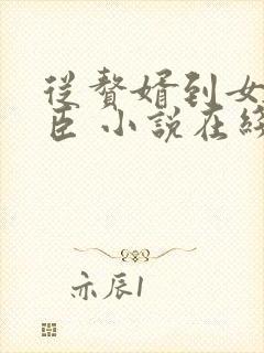 从赘婿到女帝宠臣 小说在线阅读