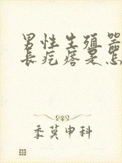 男性生殖器外皮长疙瘩是怎么回事