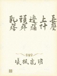 乳头边上长小疙瘩疼痛什么原因