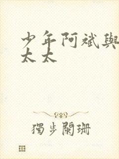 少年阿斌与房东太太