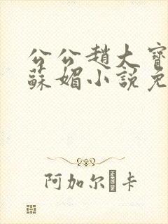 公公赵大宝儿媳苏媚小说免费阅读