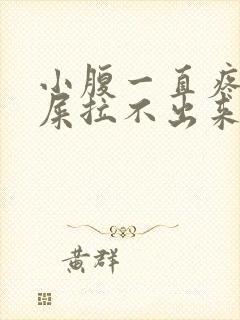 小腹一直疼想拉屎拉不出来