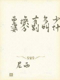 曹操有多少个老婆分别叫什么?封面