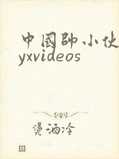 中国帅小伙gayxvideos封面