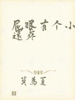 屁眼有个小肉球还疼