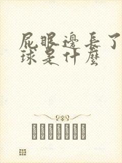 屁眼边长了个肉球是什么封面