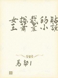 女总裁的贴身兵王萧晨小说