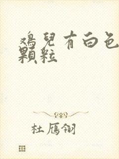 鸡儿有白色的小颗粒