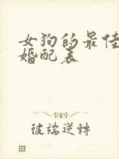 女狗的最佳属相婚配表