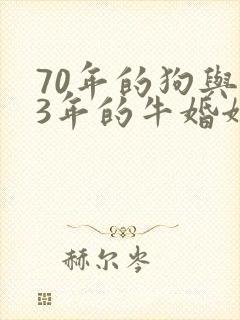 70年的狗与73年的牛婚姻配吗
