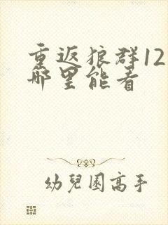 重返狼群12集哪里能看封面