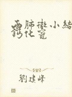 两肺微小结节及钙化灶