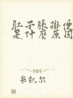 肚子胀排便困难是什么原因