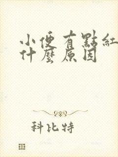 小便有点红色是什么原因封面