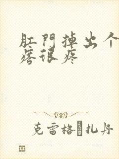 肛门掉出个硬疙瘩很疼