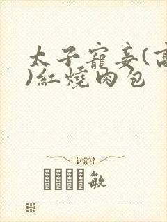 太子宠妾(高肉)红烧肉包