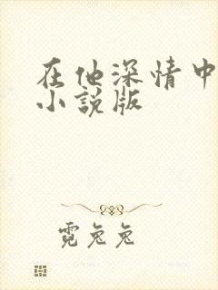 在他深情中陨落小说版