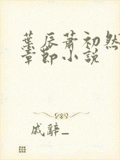 叶辰萧初然最新章节小说