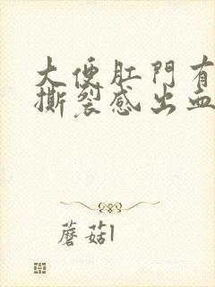 大便肛门有时有撕裂感出血封面