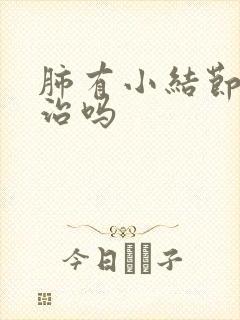 肺有小结节可以治吗