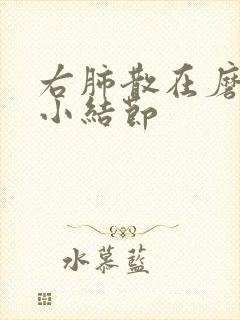 右肺散在磨玻璃小结节