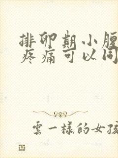 排卵期小腹坠胀疼痛可以同房吗封面