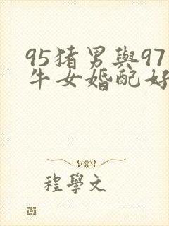 95猪男与97牛女婚配好不好