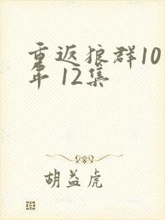 重返狼群10周年 12集