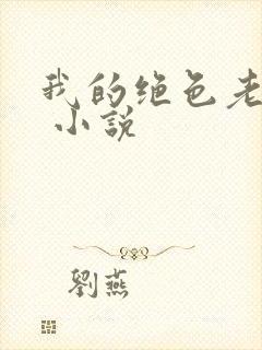 我的绝色老板娘 小说