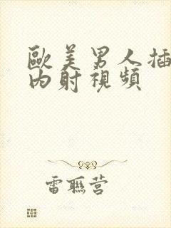 欧美男人插女人内射视频