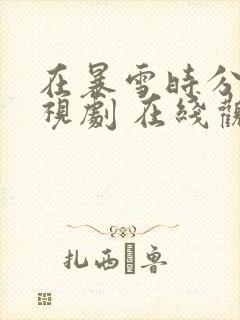 在暴雪时分 电视剧 在线观看封面