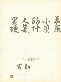 男人的小弟弟不硬是什么原因