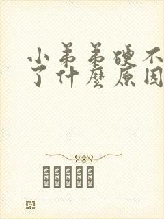 小弟弟硬不起来了什么原因