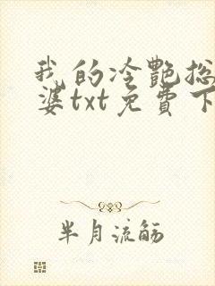 我的冷艳总裁老婆txt免费下载封面