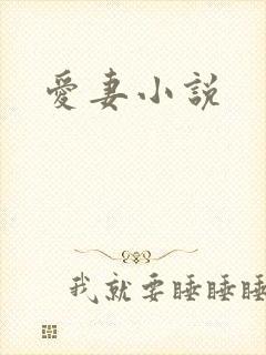 爱妻小说封面