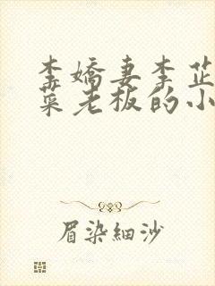 李娇妻李芷珊和菜老板的小说