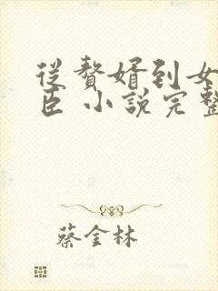 从赘婿到女帝宠臣 小说完整