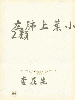 左肺上叶小结节2类