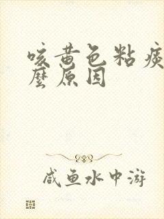 咳黄色粘痰是什么原因