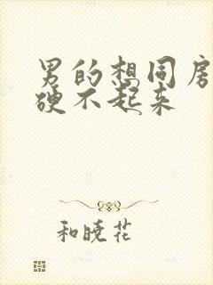 男的想同房但是硬不起来封面