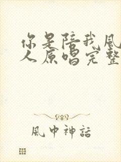 你是陪我风雨的人原唱完整版