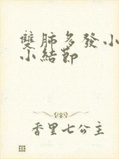 双肺多发小 微小结节