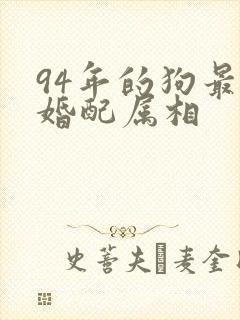 94年的狗最佳婚配属相