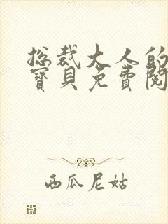 总裁大人的私有宝贝免费阅读