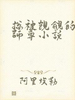 总被觊觎的清冷师尊小说