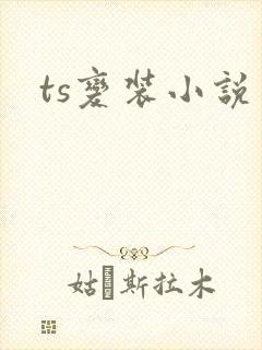 ts变装小说