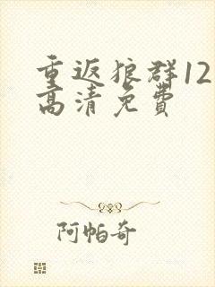 重返狼群12集高清免费