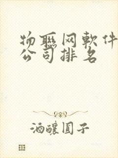 物联网软件开发公司排名