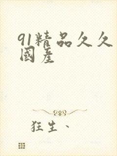 91精品久久久国产封面